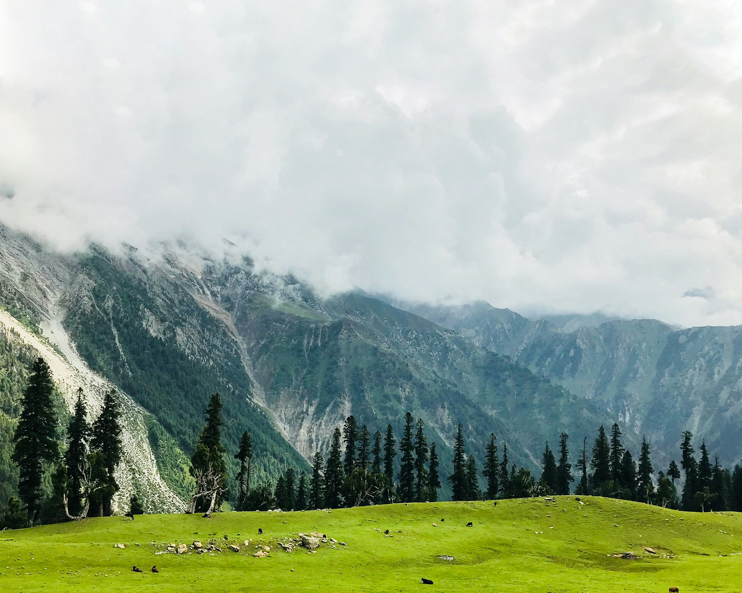 Kashmir Paradise