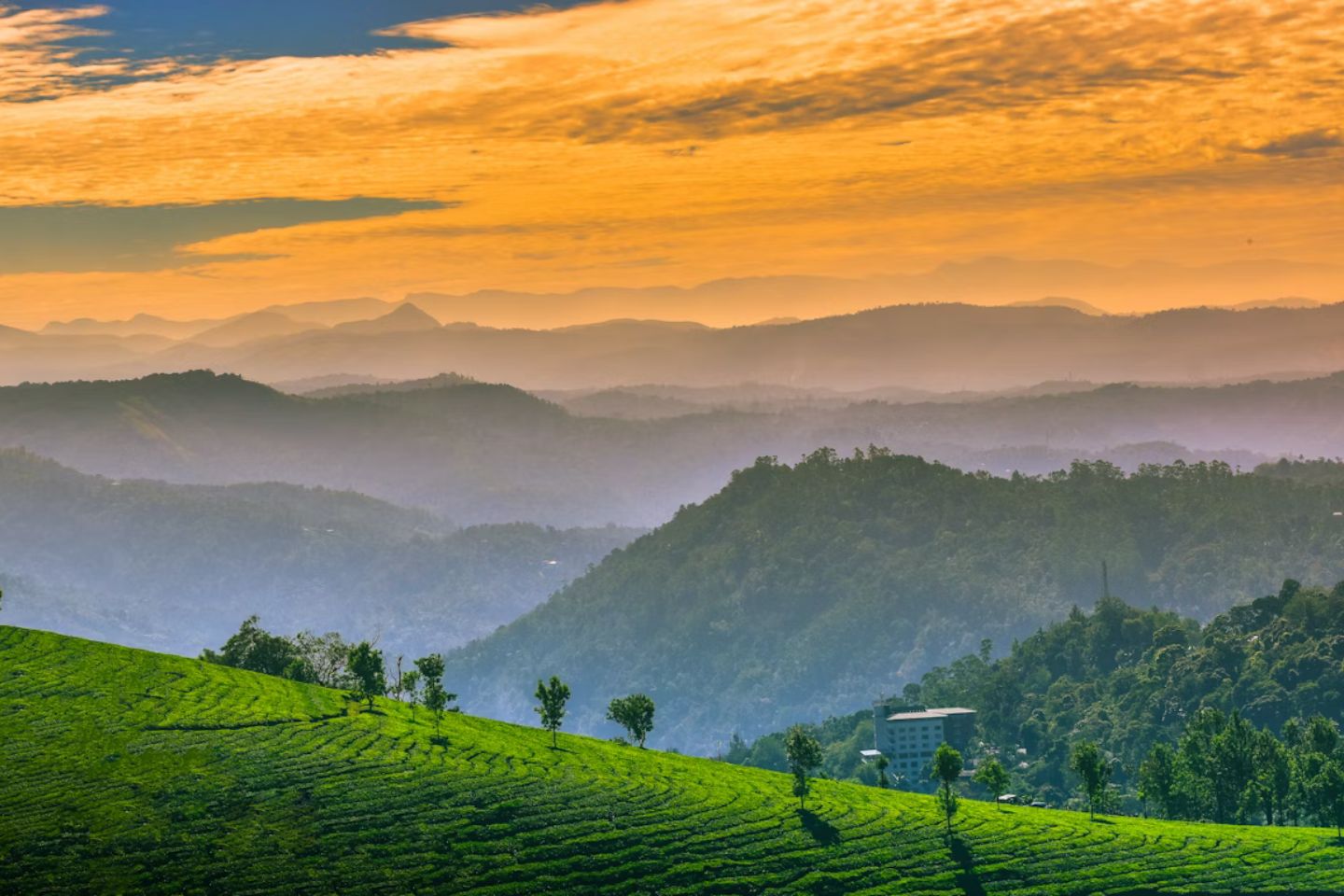 Exotic Kerala